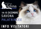 expo felina di Savona 2019 - le prime info per i visitatori